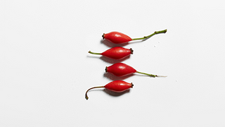 Discipline Oléo-Relax A Star Is Reborn Article 04 Kérastase