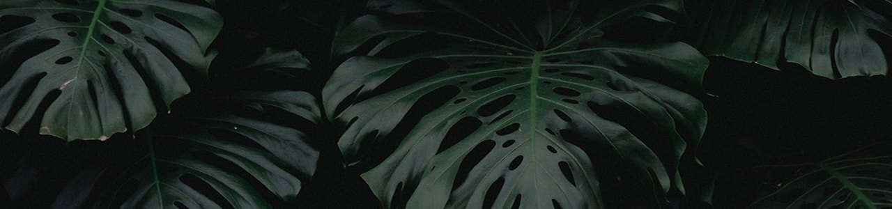 Εικόνα Hero banner για Άρθρο Aura Botanica Kerastase