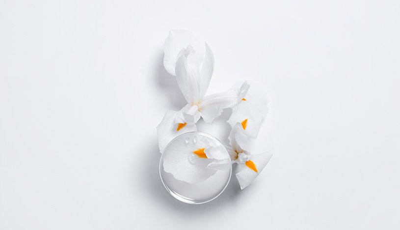 The Hair Of Your Dreams Nutritive Article 4 Photo Album Kérastase