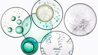 Article Microbiome Potentialiste 04 Kérastase