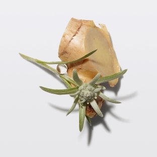 Kérastase Genesis με Edelweiss και τζίντζερ για ενδυνάμωση μαλλιών